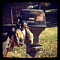 huntin fool