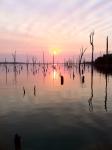West Cove Rods's Avatar
