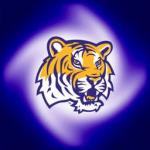 LSUfan's Avatar